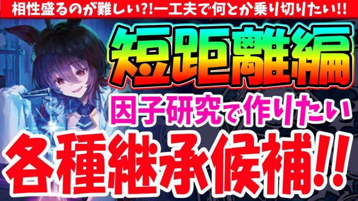 【因子】10月短距離チャンミ用!!相性盛るのが難しい?!各種継承候補の話　#ウマ娘
