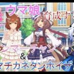 #6【ウマ娘】ウマ娘育成するぞ！強いウマ娘を育成するんだ！アストンマーチャン＆マチカネタンホイザ育成！【#ウマ娘 #ウマ娘プリティーダービー 】