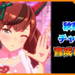 【ウマ娘】今日も今日とてチャンミ育成します【初見・初心者大歓迎！】