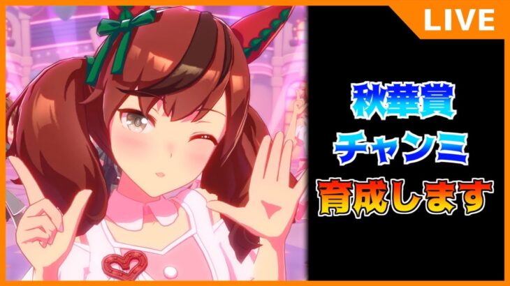 【ウマ娘】今日も今日とてチャンミ育成します【初見・初心者大歓迎！】