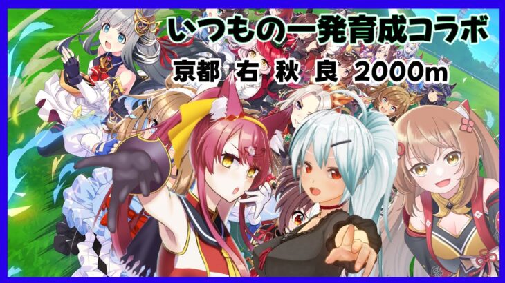 定期となった一発育成コラボ【ウマ娘】#1197