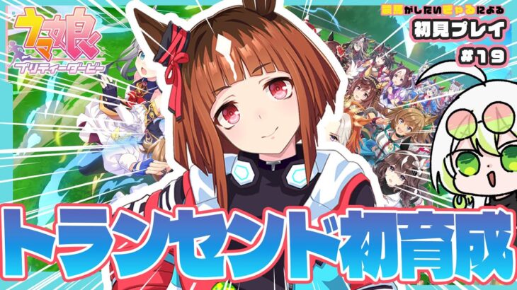 【 ウマ娘 】#19 本日はNEWウマ娘「トランセンド」を初めて育成！育成シナリオ楽しみながら完了までがんばるぞ🐎【此朶アキラ｜LuLiLink】
