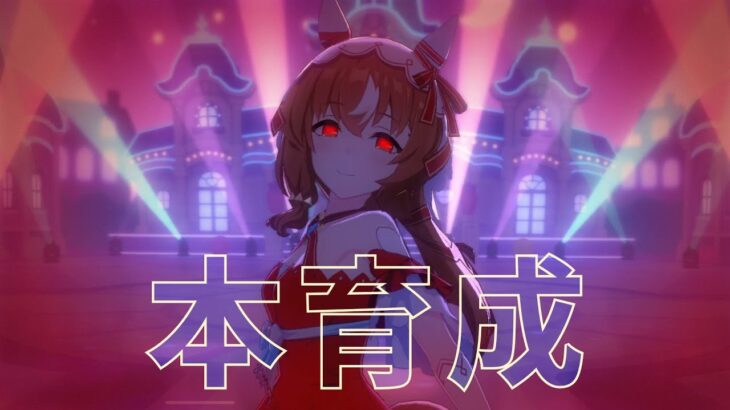 【ウマ娘】スティル本育成します