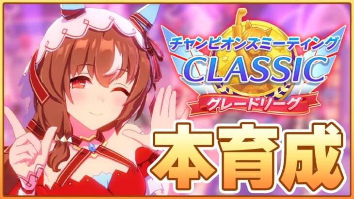 【ウマ娘】海の家Lv2育成を試すために9月チャンミに向けてスティル本育成するよい【チャンピオンズミーティングCLASICC 京都2000m】