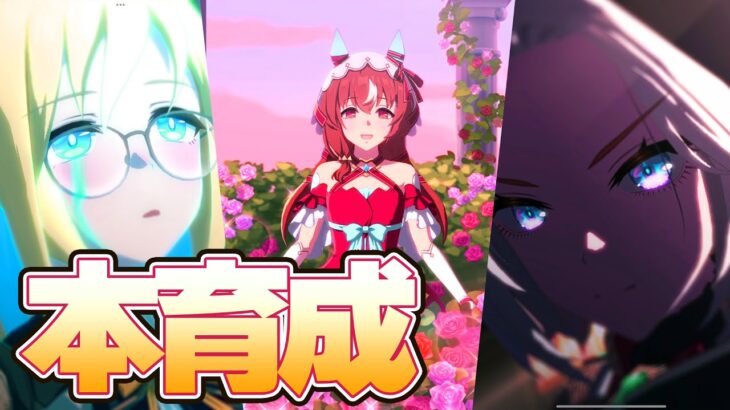 【ウマ娘】ちょっとだけチャンミ本育成【秋華賞】