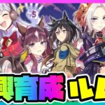 【ウマ娘】即興育成ルームマッチ！ヒシアケボノおめでとう【ウマ娘育成攻略】＃ウマ娘　#新シナリオ