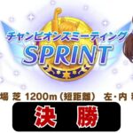【ウマ娘】16時頃からチャンミ決勝それまで育成とかFGOイベントとか【FGO】