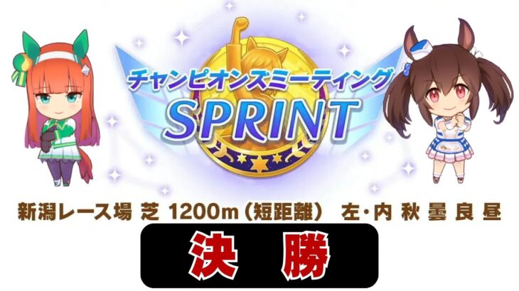 【ウマ娘】16時頃からチャンミ決勝それまで育成とかFGOイベントとか【FGO】