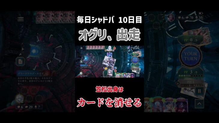 【毎日シャドバ】 オグリ、出走して疾走  【10日目】 #シャドバ  #シャドバwb #shadowverse #ウマ娘 #ウマ娘シンデレラグレイ #shorts