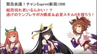 チャンミsprint新潟1200　逃げ試作