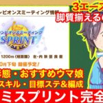 【ウマ娘】これ一本で完全攻略！チャンミ新潟1200mで差が付くポイントをすべて徹底解説‼【チャンピオンズミーティングスプリント】