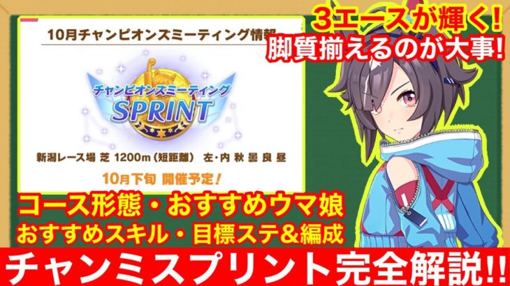 【ウマ娘】これ一本で完全攻略！チャンミ新潟1200mで差が付くポイントをすべて徹底解説‼【チャンピオンズミーティングスプリント】