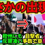 『凱旋門賞の現地に登場したまさかのあのウマ娘にSNS大パニック！』まとめ【ウマ娘プリティーダービー】