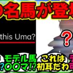 『海外トレーナーさん、ある謎のウマ娘の正体を知ってしまい大興奮！』まとめ【ウマ娘プリティーダービー】