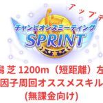 【ウマ娘】【無課金】差し特化アップデート版！10月短距離チャンミ因子周回、オススメスキル(無課金向け)/初見さん大歓迎/チャンピオンズミーティング　#ウマ娘　#無課金　#チャンミ　#因子周回