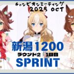 【ウマ娘】新潟1200短距離チャンミ ラウンド2 DAY1 スプリンターズS 2002