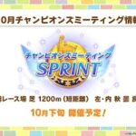 【ウマ娘】【ルームマッチ】ルムマするだけ