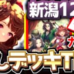 【チャンミ攻略】グループサポカが強い！？差しデッキTier解説！新潟1200ｍ【ウマ娘×ずんだもん】