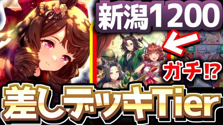 【チャンミ攻略】グループサポカが強い！？差しデッキTier解説！新潟1200ｍ【ウマ娘×ずんだもん】