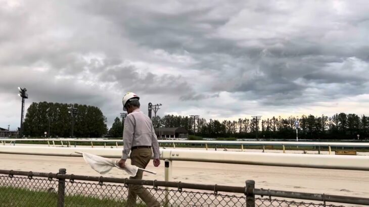【ウマ娘金沢競馬コラボ】頂点だけは譲れない!ヴィルシーナ記念    2025年10月12日撮影