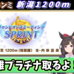 【チャンミ決勝！】短距離チャンミプラチナ取るぞ！！新潟1200ｍグレードA決勝配信【ウマ娘/Umamusume】　日本語/EN/中文