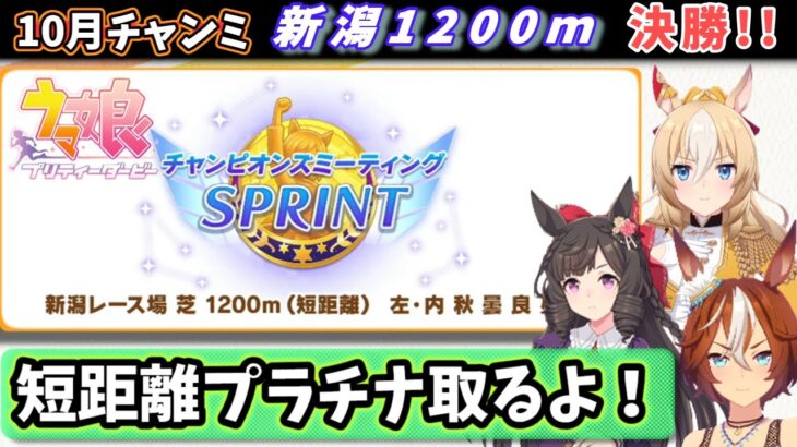 【チャンミ決勝!】短距離チャンミプラチナ取るぞ!!新潟1200mグレードA決勝配信【ウマ娘/Umamusume】 日本語/EN/中文