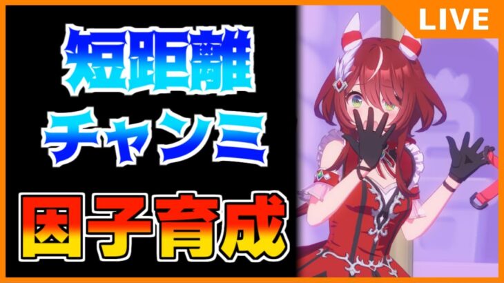【ウマ娘】優雅に因子育成します【初見・初心者大歓迎！】