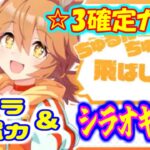 ウマ娘 ☆3確定 開運ガチャ キャラ＆サポカ　チョルビ