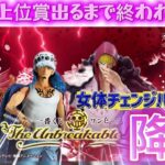 【一番くじ ワンピース】ベポor女体ローをGETしたいぃぃぃぃ!!!〖前編〗The Unbreakable Law【ONE PIECE】