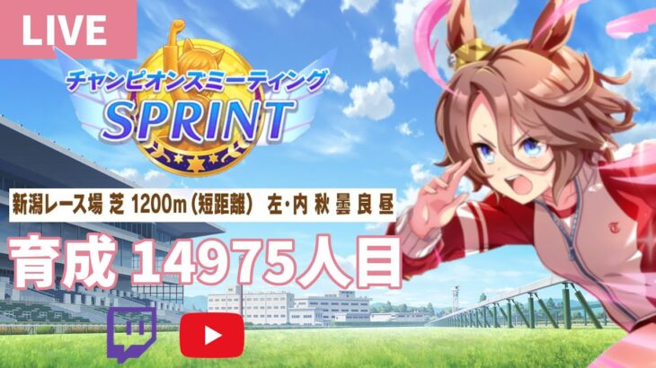【ウマ娘】育成14975人目 因子周回に休みなし 短距離チャンミとダートLOH…さらに12月のマイルもウワアアアアアアア
