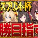 【ウマ娘】今日は勝つよ!!スプリント杯決勝！新シナリオを気持ちよく迎える勝利を上げます/グランアレグリア/ダイイチルビー/差しデュランダル/新潟1200ｍ【スプリント杯】