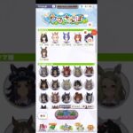 ウマ娘プリティーダービー ヴィブロス ケンタッキーコラボ散歩 ネットオーダー