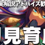【ウマ娘 初見】シンボリクリスエス初育成！~夕方の因子周回~【レンテ・ローウェル/Vtuber】