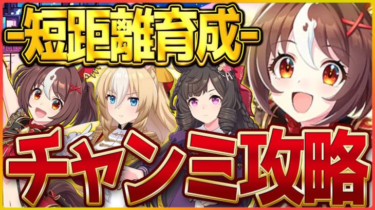 【ウマ娘】短距離チャンミ育成!!そろそろ本育成に本腰入れて本気で本当に完成させたいよね…今日はAI3回行動/グランアレグリア/ダイイチルビー/差しデュランダル/新潟1200ｍ【スプリント杯】
