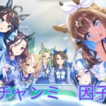【ウマ娘】10月チャンミ本育成？やっていく～