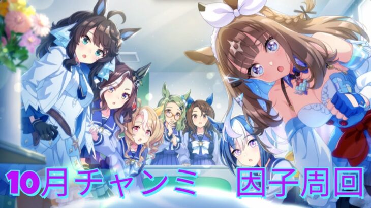 【ウマ娘】10月チャンミ本育成？やっていく～
