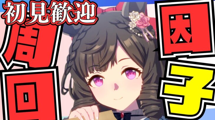 【ウマ娘】(雑談枠)短距離チャンミ用因子周回！/因子お披露目ルムマ開催しておりますので、気軽にご参加ください/UmaMusume Training Live