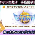 【因子周回】10月チャンミ向けのぬくもり感じる手作り因子周回する枠【ウマ娘/Umamusume】　日本語/EN/中文
