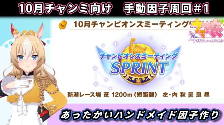 【因子周回】10月チャンミ向けのぬくもり感じる手作り因子周回する枠【ウマ娘/Umamusume】　日本語/EN/中文
