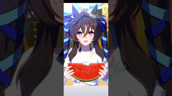 ウマ娘プリティーダービー ヴィブロス うま散歩&うま散歩（海）&ギャル散歩&ケンタッキーコラボ散歩12種類