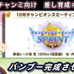 【10月チャンミ】短距離チャンミ本育成　差しバンブー編#1【ウマ娘/Umamusume】　日本語/EN/中文