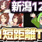 【チャンミ攻略】新潟1200ｍウマ娘Tier！勝てる編成や重要ポイントも解説！【ウマ娘×ずんだもん】