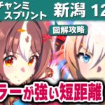 【ウマ娘】2025年10月チャンミ短距離新潟1200m攻略 マイラーグランアレグリア強すぎ 逃げ先行に勝機はあるか スキル発動箇所・新潟競馬場図面解説【ウマ娘プリティーダービー実況攻略動画】