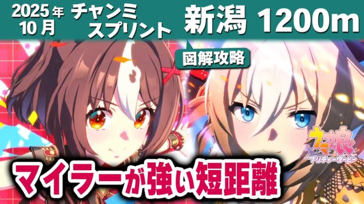 【ウマ娘】2025年10月チャンミ短距離新潟1200m攻略 マイラーグランアレグリア強すぎ 逃げ先行に勝機はあるか スキル発動箇所・新潟競馬場図面解説【ウマ娘プリティーダービー実況攻略動画】