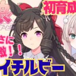 【ウマ娘】意外な一面発見！　ダイイチルビーちゃんの初育成！　淡々としてるけどやさしい娘？　初見さん歓迎！初見プレイ【#新人Vtuber #森瀬リアン 】