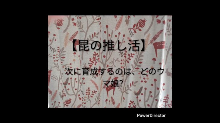 昆が、2回目に育成するウマ娘のキャラは？#ウマ娘プリティーダービー#推し活