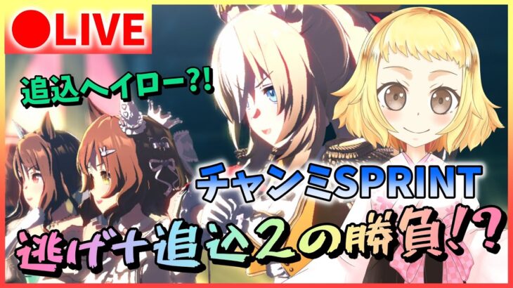 【ウマ娘/生配信】初の逃げチャンミ！え…単逃げ？！逃げ＋追込で戦うチャンミSPRINT！新人Vtuberはちこ！アストンマーチャン・キングヘイロー・デュランダルとグレードリーグ挑む！スナイプあるかも！