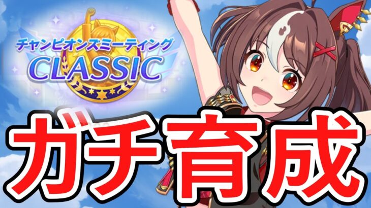 【ウマ娘】一旦チャンミ本育成 #ウマ娘  #育成配信 #ゲーム実況  #わずやん