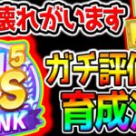 【ウマ娘】US6を育成する方法を実践！※概要欄攻略メモあり！新シナリオ『ゆこま温泉郷』育成法 SSRトウカイテイオー/SSR保科健子/トランセンド【Umamusume ウマ娘プリティーダービー