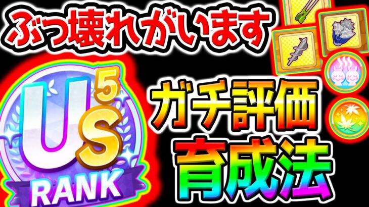 【ウマ娘】US6を育成する方法を実践！※概要欄攻略メモあり！新シナリオ『ゆこま温泉郷』育成法 SSRトウカイテイオー/SSR保科健子/トランセンド【Umamusume ウマ娘プリティーダービー